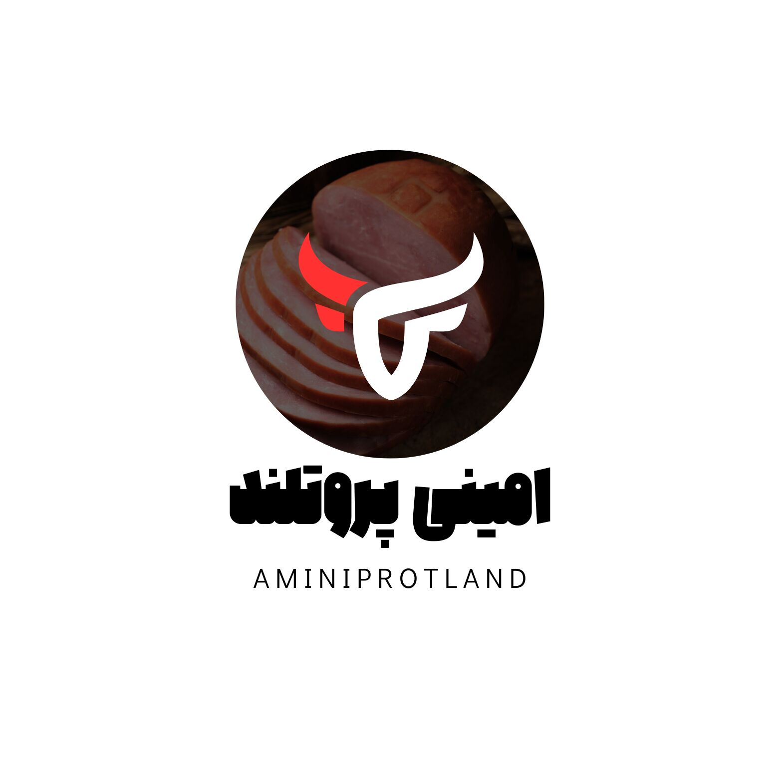 فرآورده های گوشتی امینی پروتلند